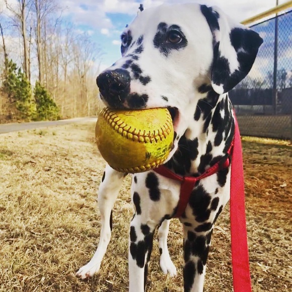 Meet your Posher, Meghan - Picture 5 of 6